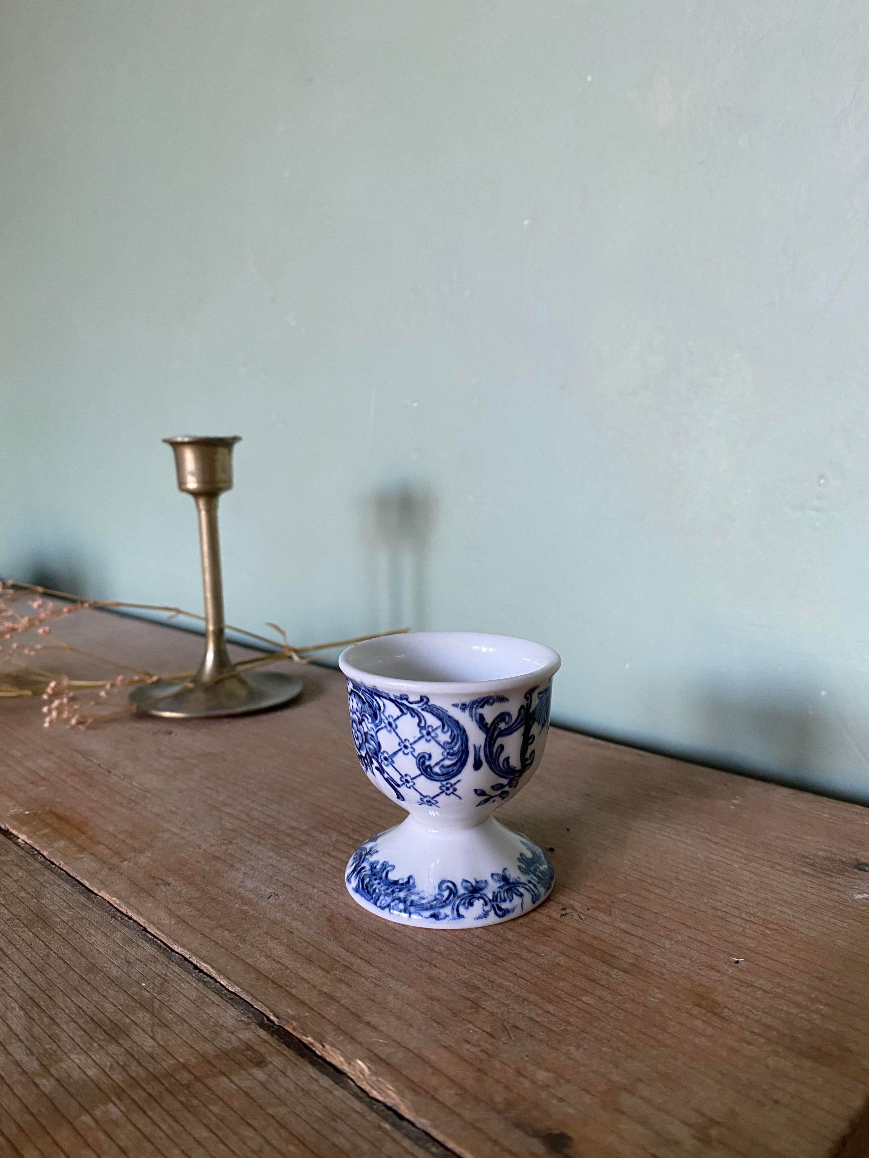 Ancient shell in Iron Land