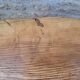 Brutalist coffee table 156x101
