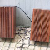 Pregnant pair Italian wood