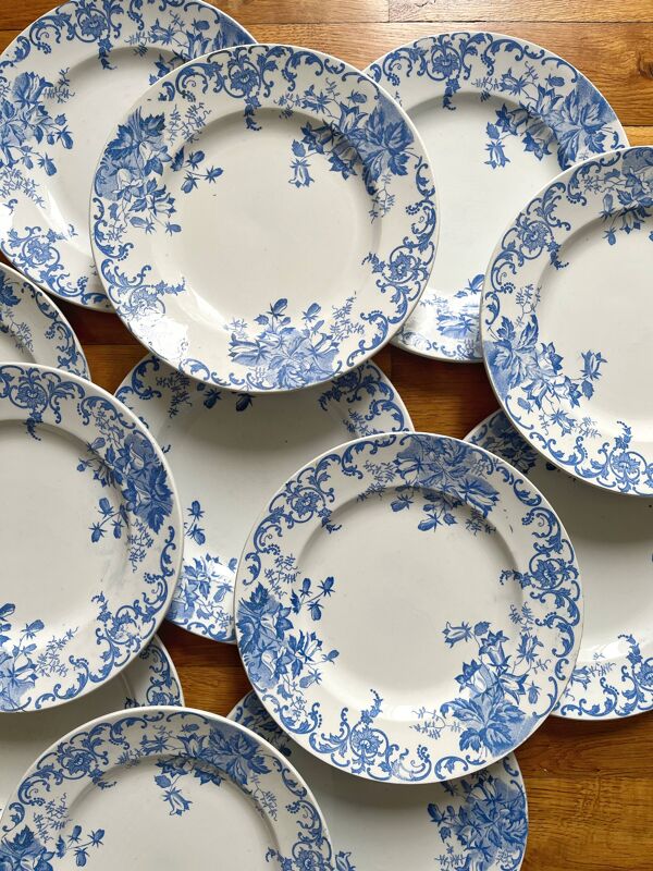 12 petites assiettes plates  ''Campanule'' Saint Amand et Hamage