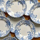 12 small flat plates "Campanule" Saint Amand and Hamage