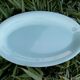 Blue oval dish