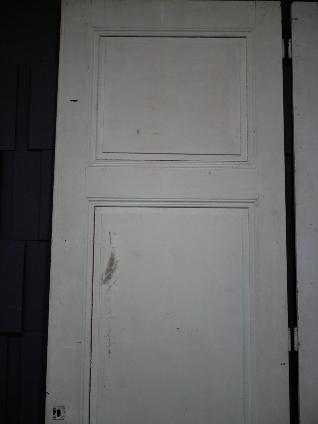 Antique painted wooden doors