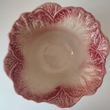 Salad bowl cabbage slurry