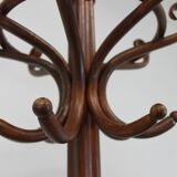 Thonet style parrot