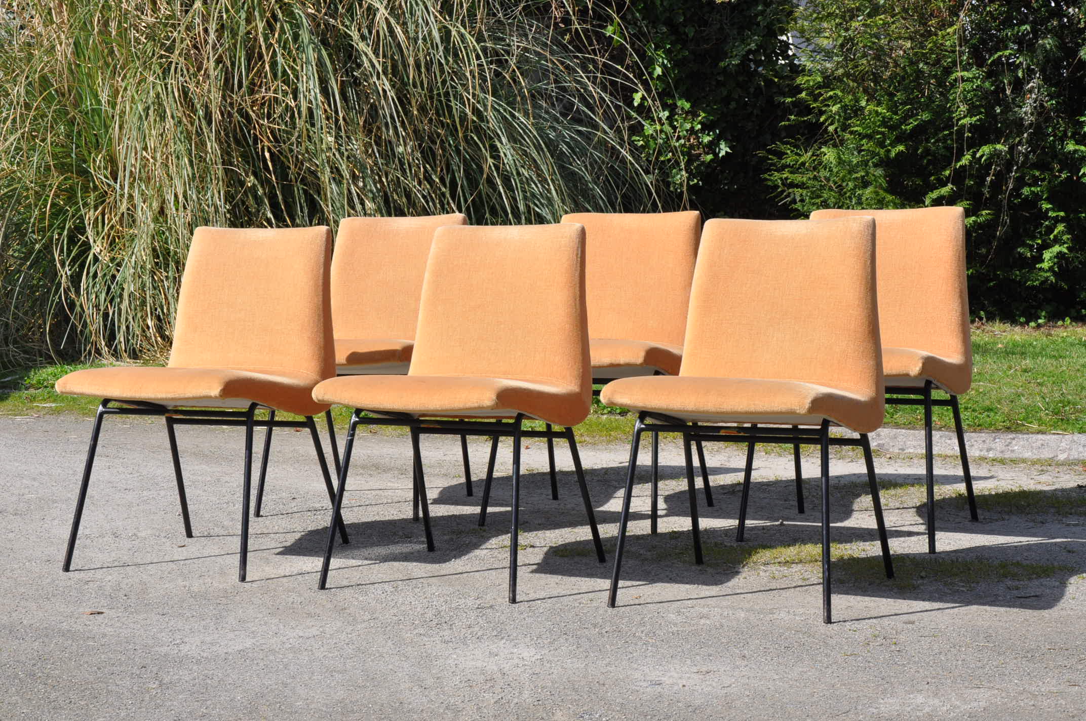 Pierre Paulin chairs