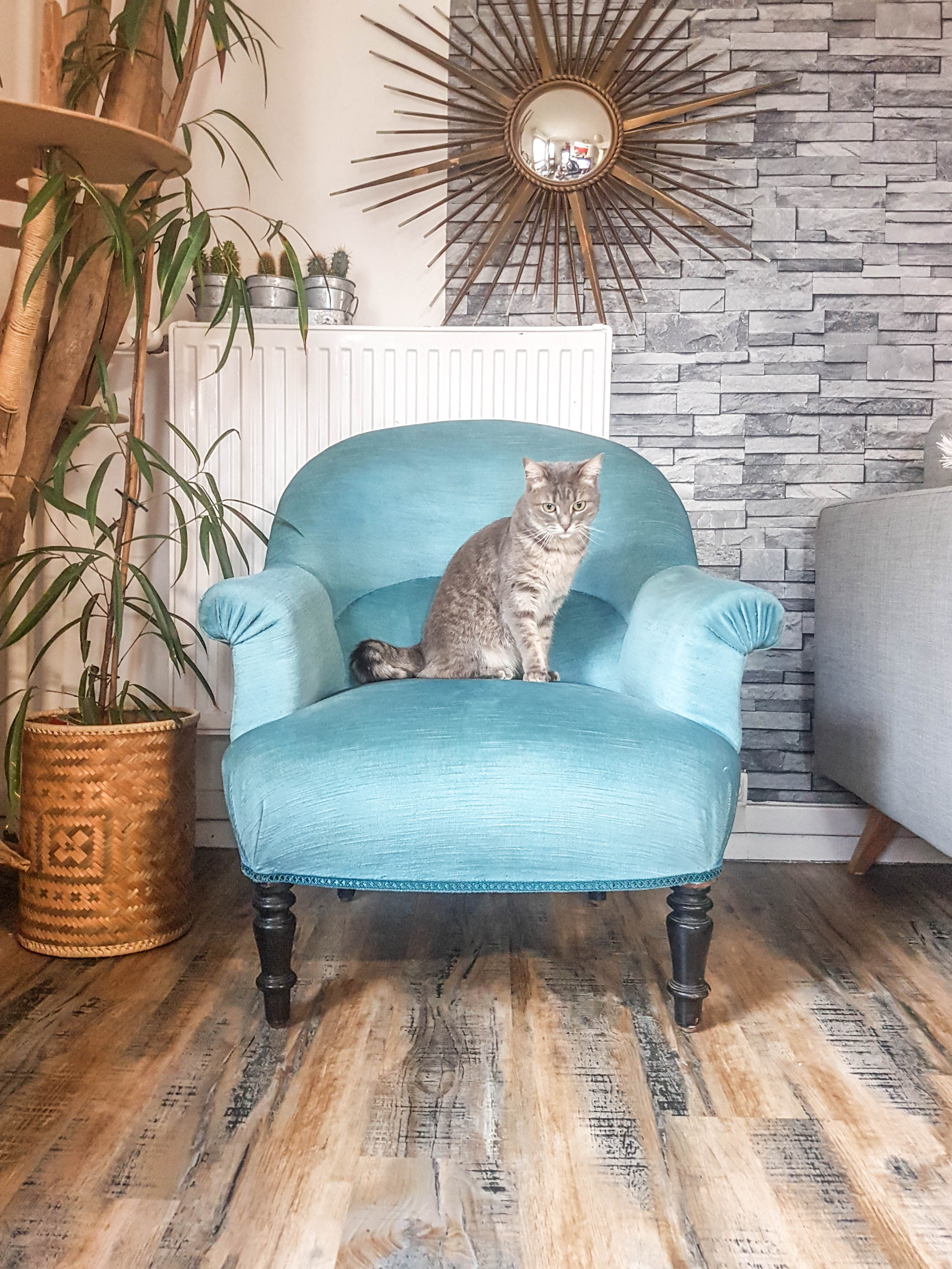 Vintage toad armchair blue velvet 70s
