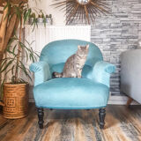 Vintage toad armchair blue velvet 70s
