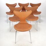 Set of 6 Lily chairs by Arne Jacobsen for Fritz Hansen, 1960s
