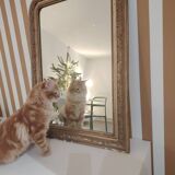 Golden mirror