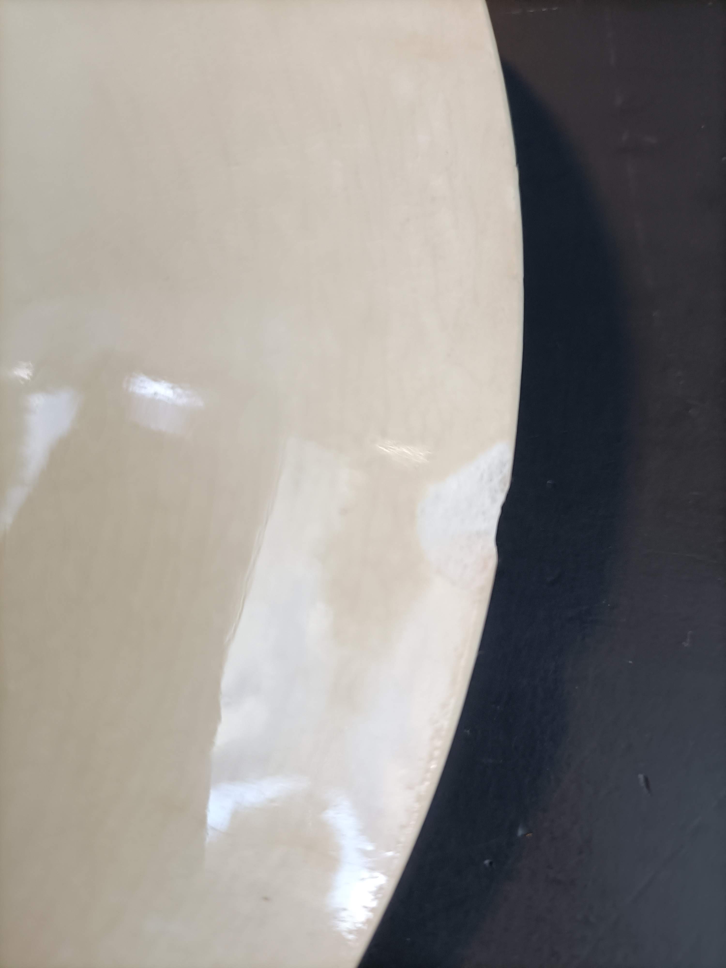 Assiette XIX° en Gien à motifs végétaux asiatiques