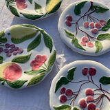 Hand painted fruit decor plates