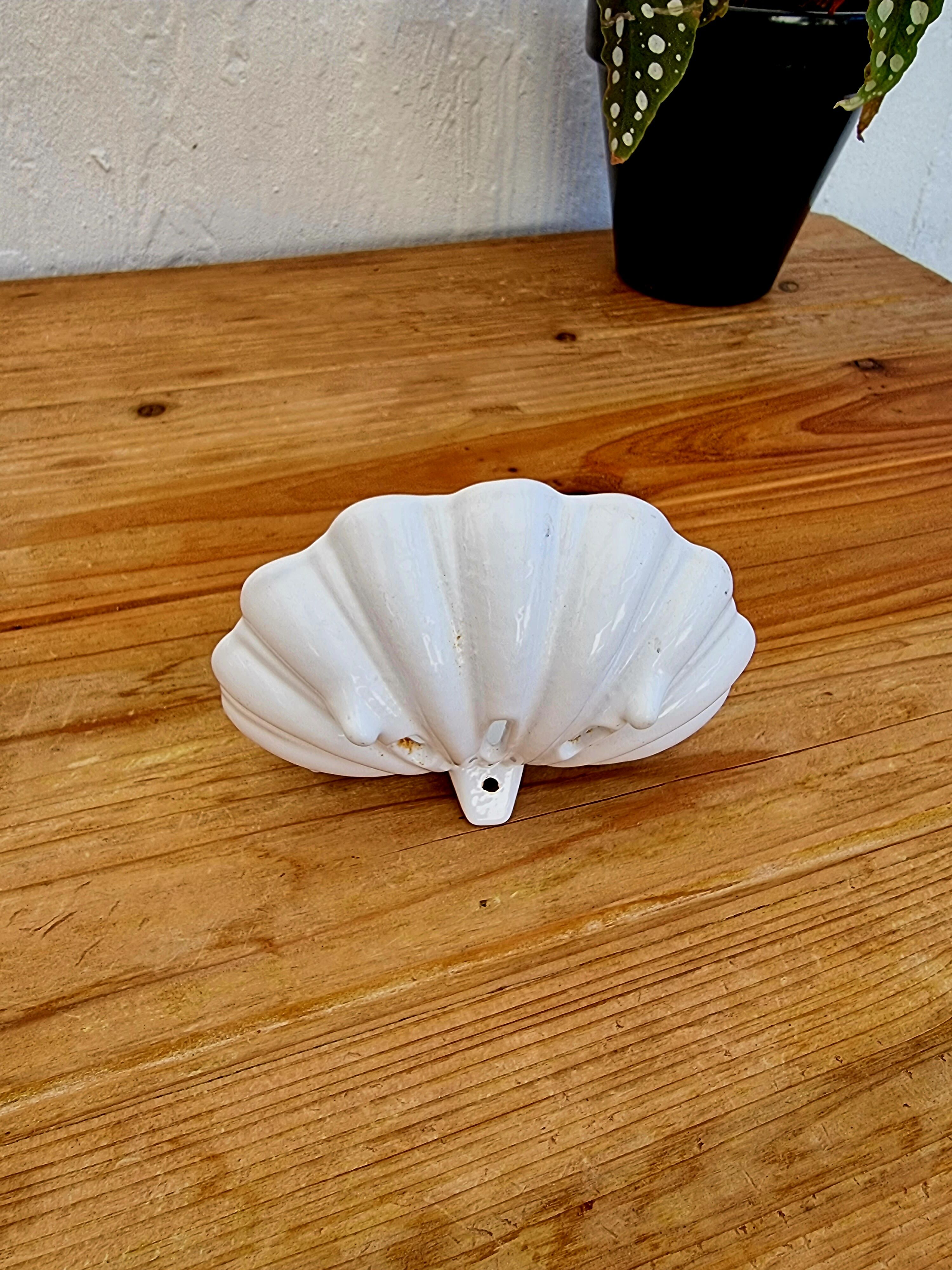 Vintage shell soap holder