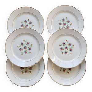 6 assiettes à dessert