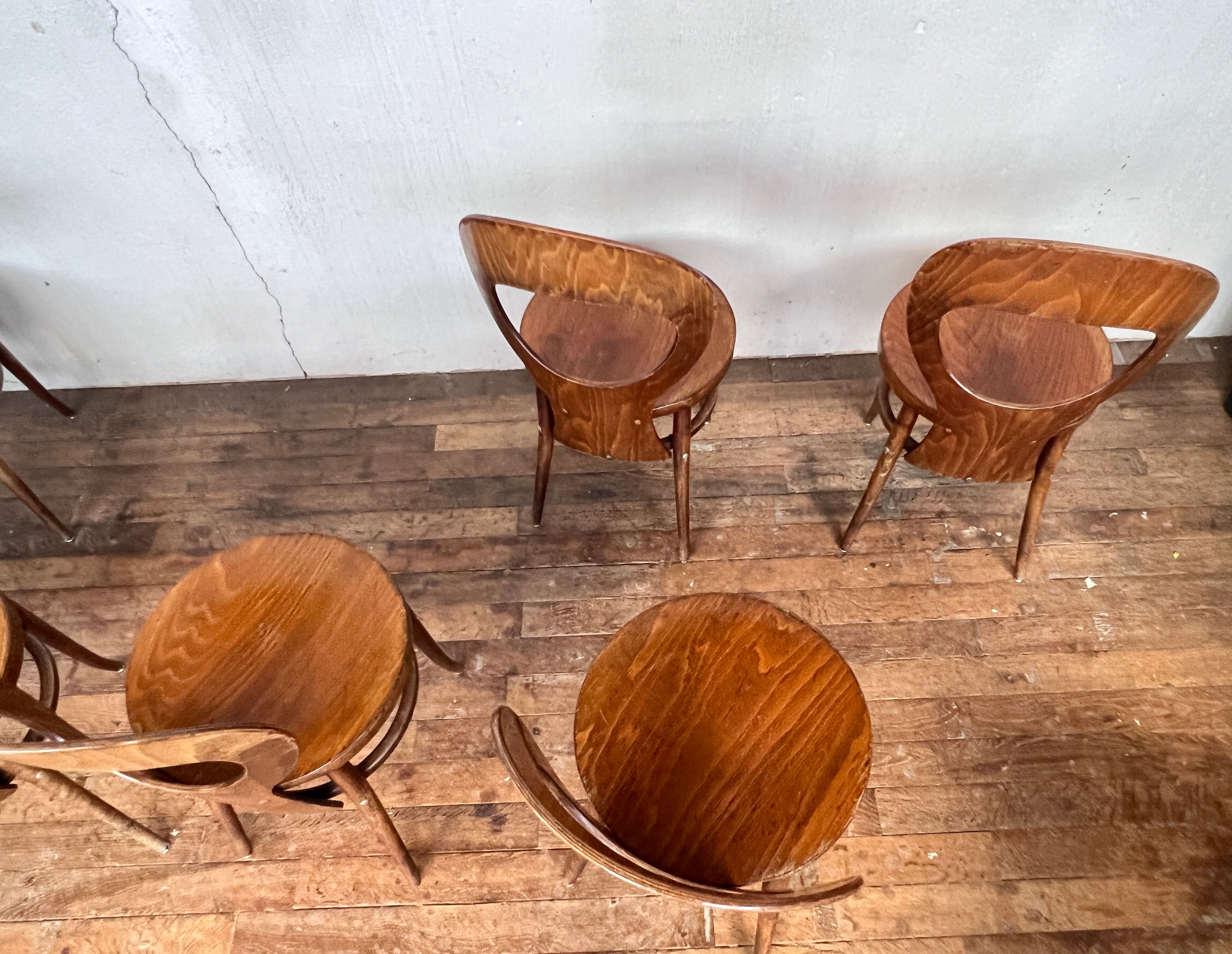 Series of 8 Baumann seagull chairs