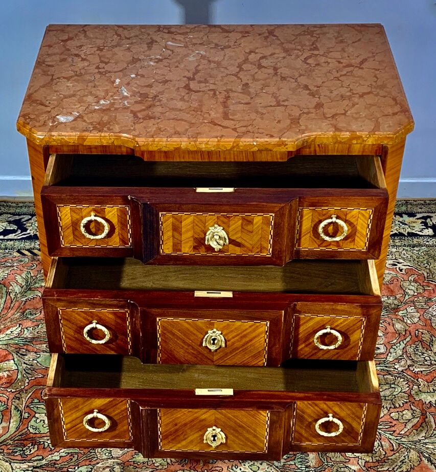 Transition style chest of drawers in rosewood and violet wood, ebony and gilded bronzes