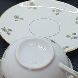 Tea set 9 pieces