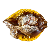 Vide poche poissons