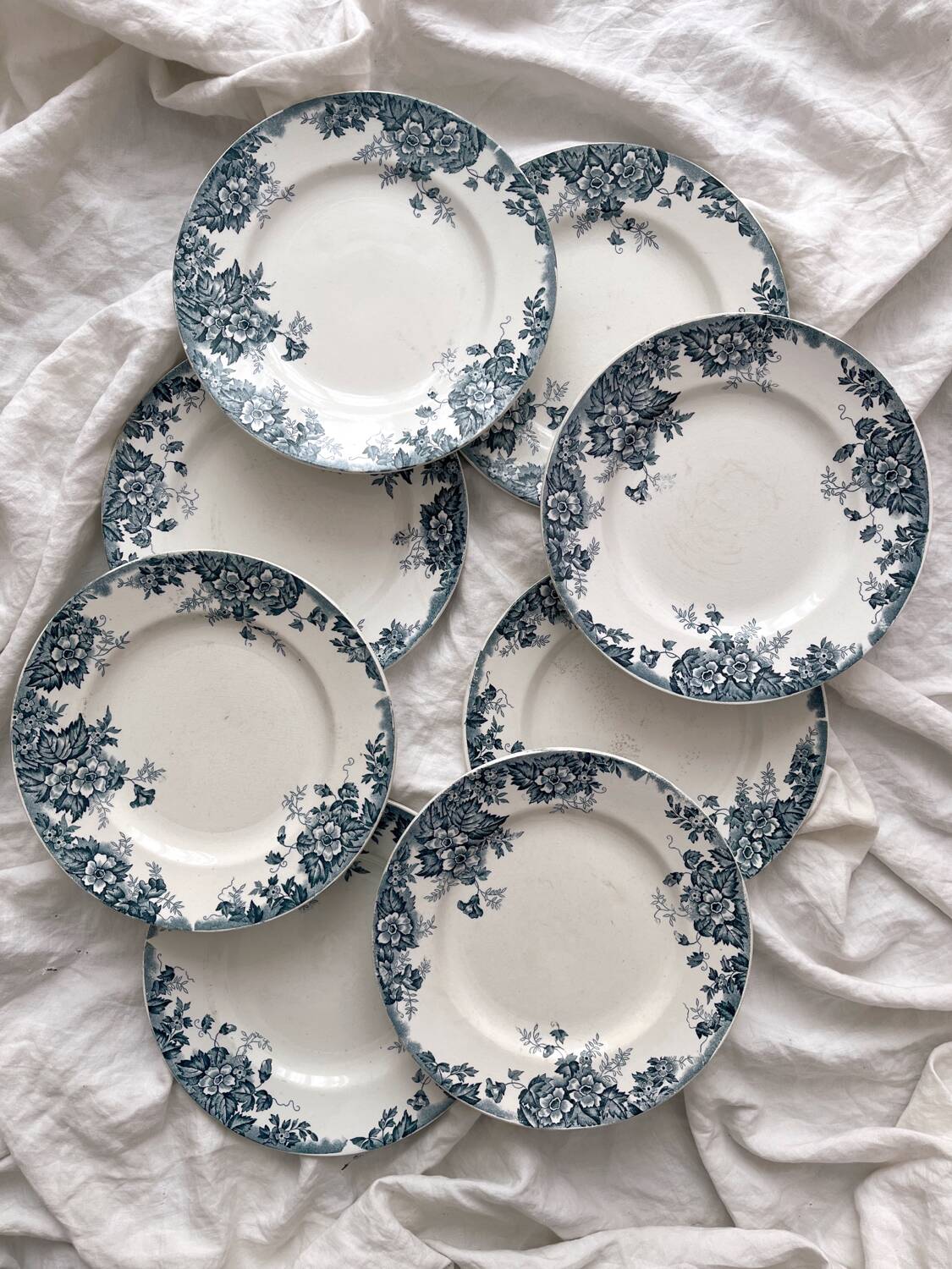 8 flat ironstone plates “Marie Louise” Saint Amand and Hamage