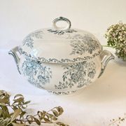 Soupière terre de fer, Sarreguemines, modèle Eglantine