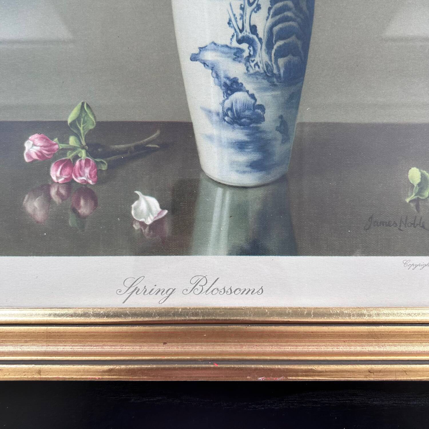 Reproductions florales de James Noble