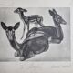 Illustrated plate, Studies of Black Fallow Deer, Signed André Margat, 1930-1950
