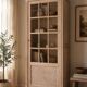 Antique glass-fronted cabinet with crossbars / display cabinet