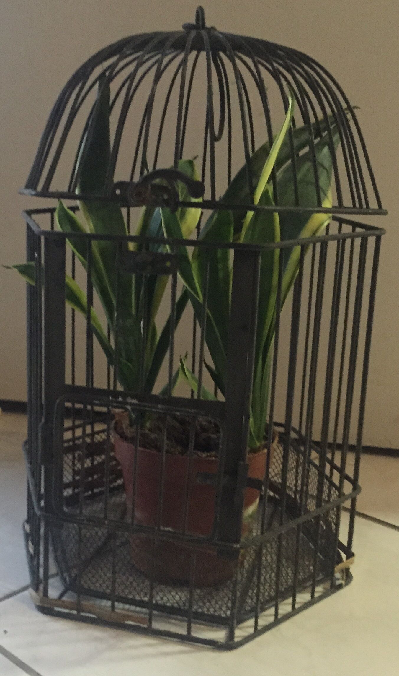 Cage à oiseaux