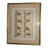 18th century engraving paintings - Fencing - Robert Benard