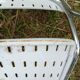 Pair of "Dallas" chairs by Paolo Favaretto