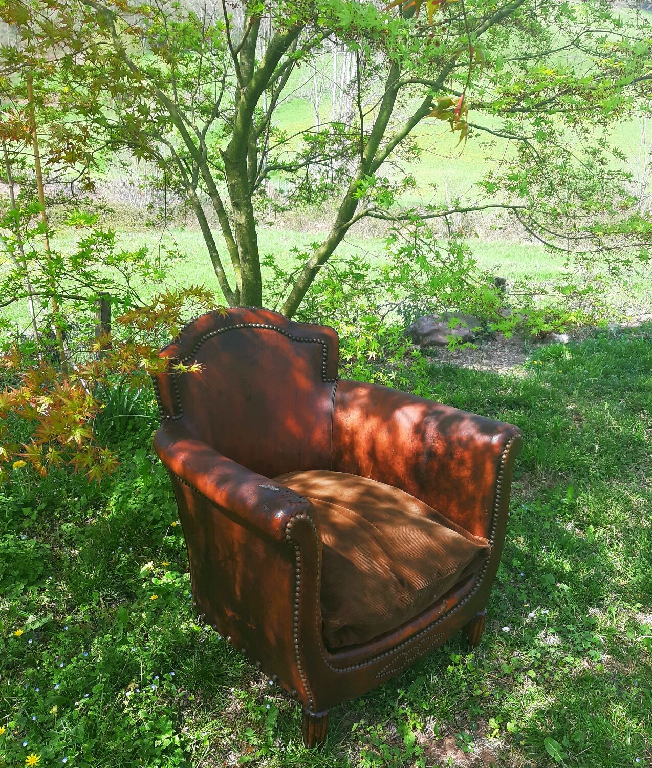 Club Armchair