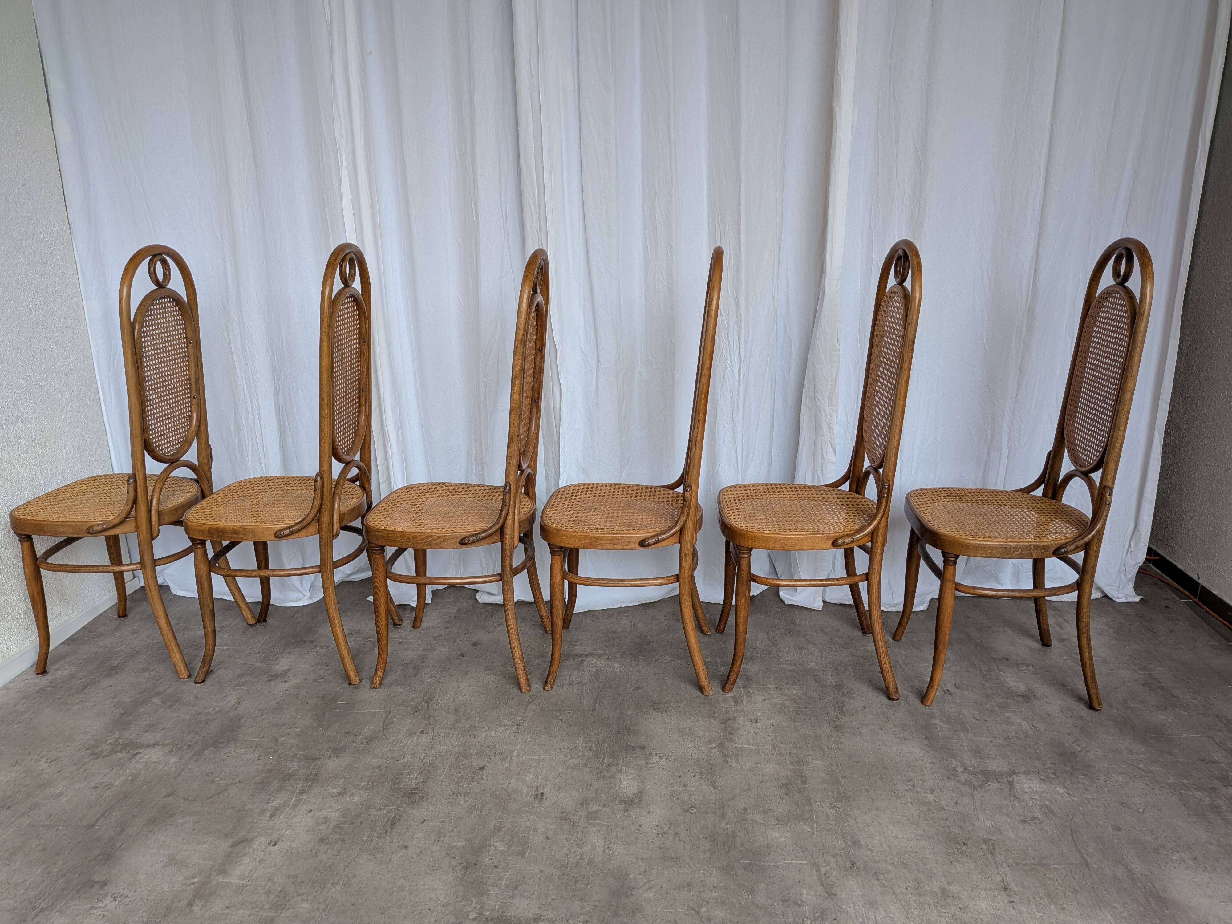 Set of 6 Vintage Bentwood Cane Dining Chair, Thonet Style, 1970s Yugoslavia