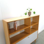 Deens Domino Mobler kast met klepdeur