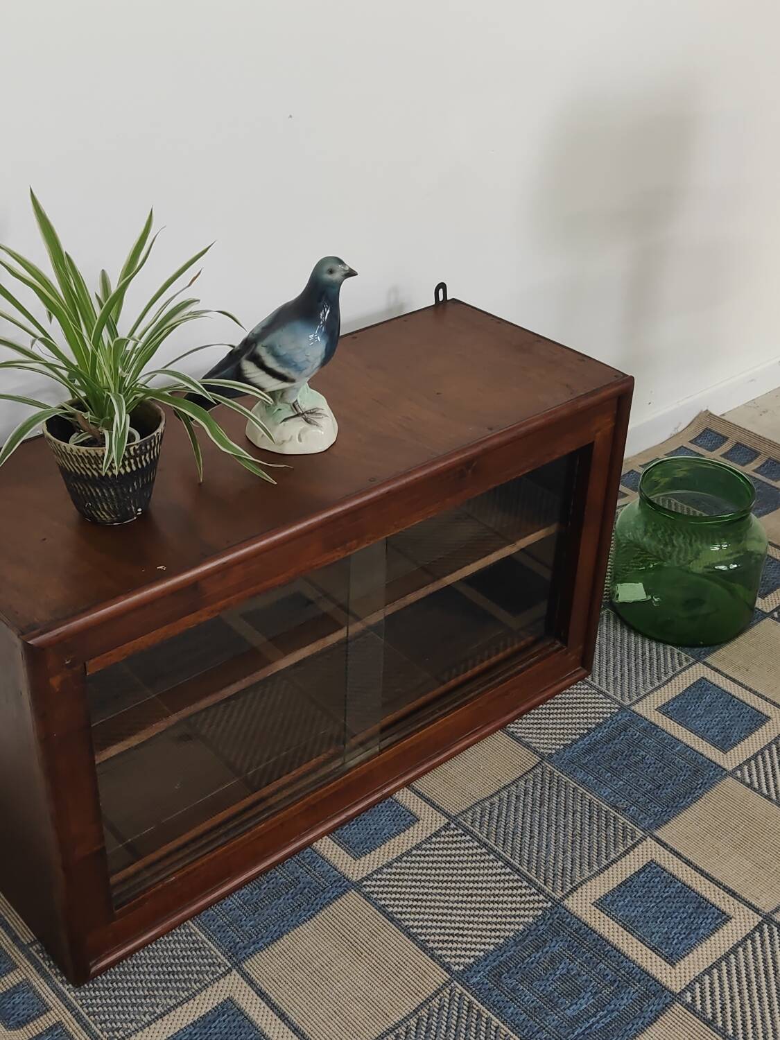 Small display case or glass wall shelf