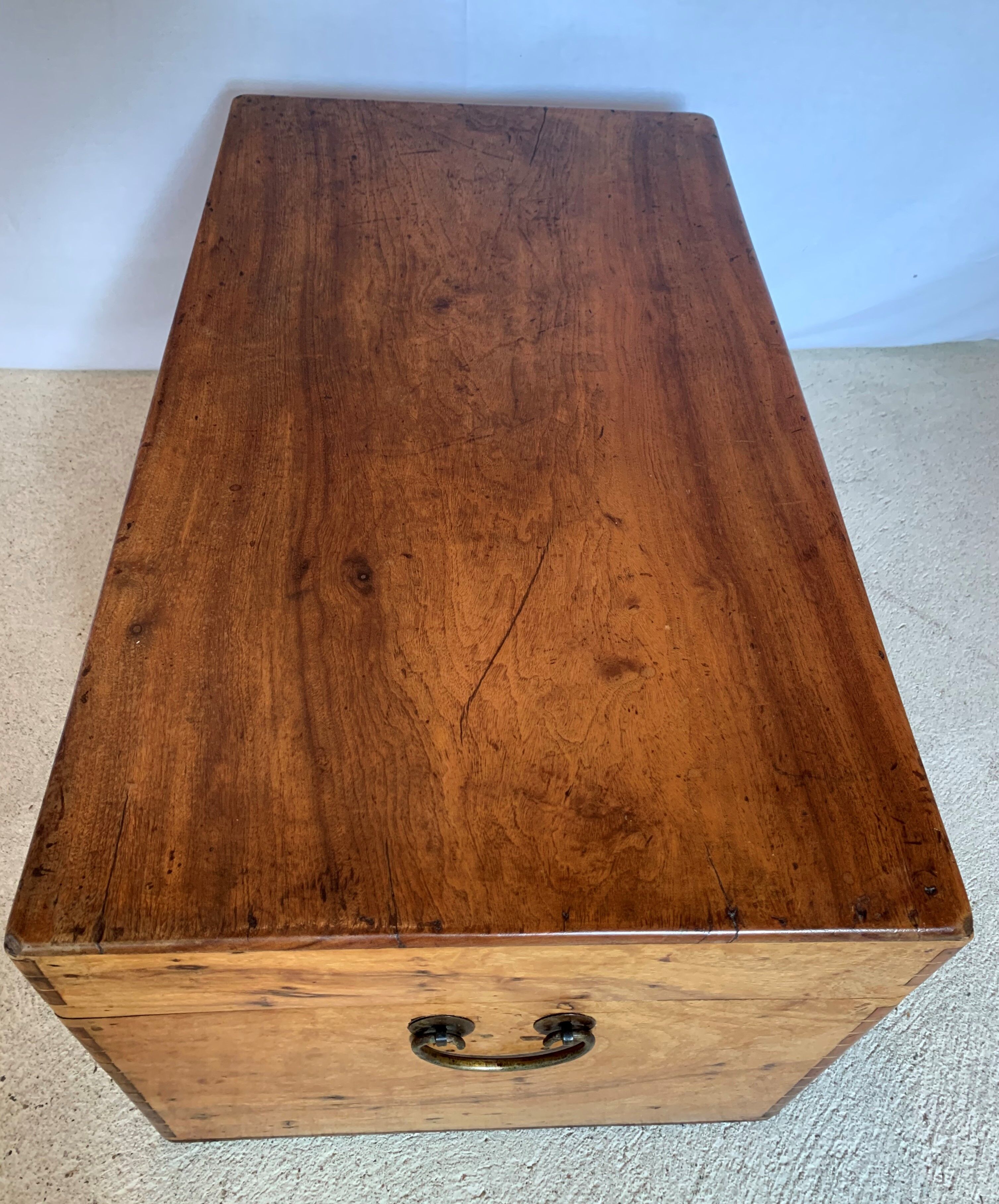 Chinese box in camphrier