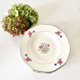8 assiettes sarreguemines