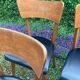 Series of 4 vintage chairs from the 50s and 60s