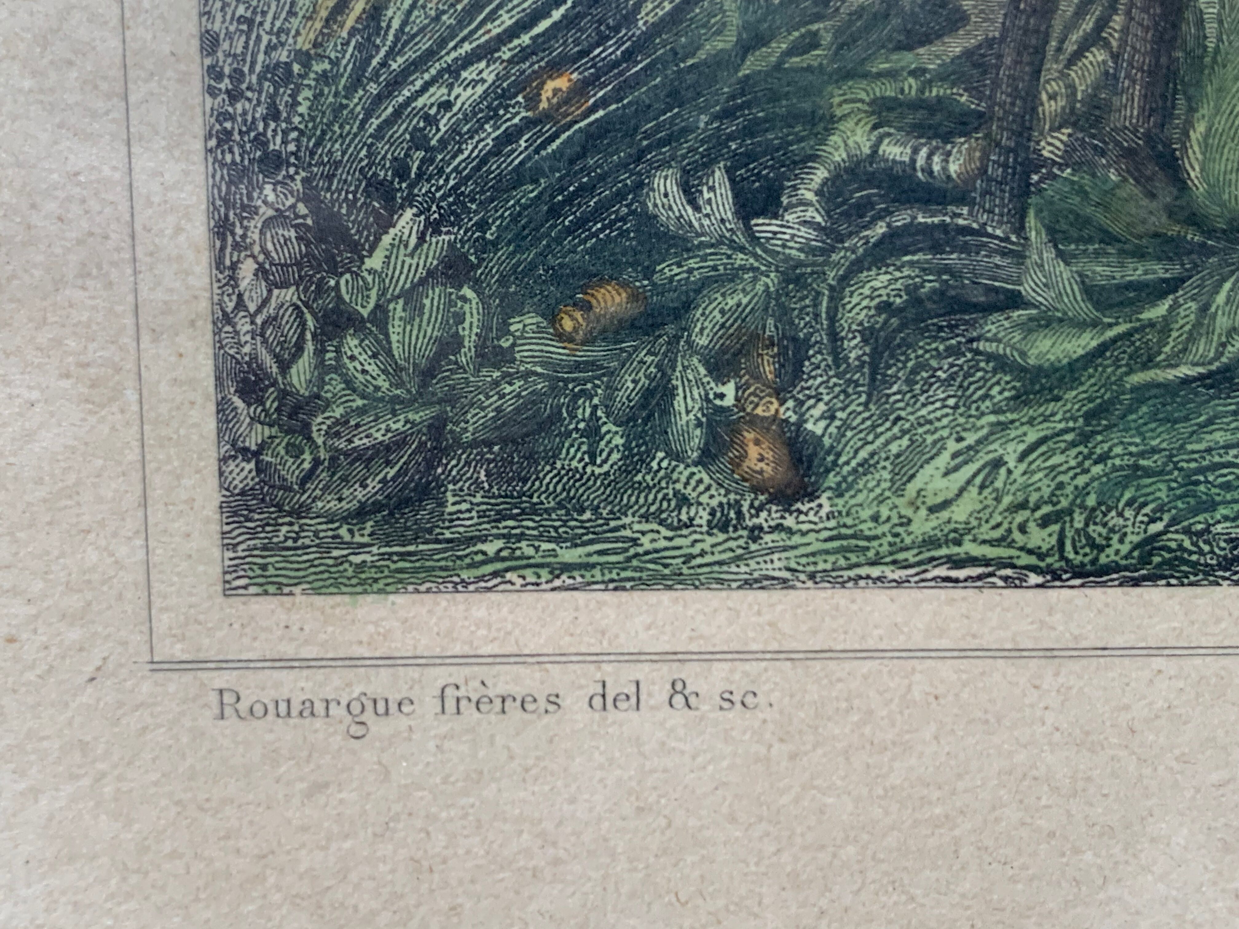 Gravure alger
