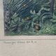 Gravure alger