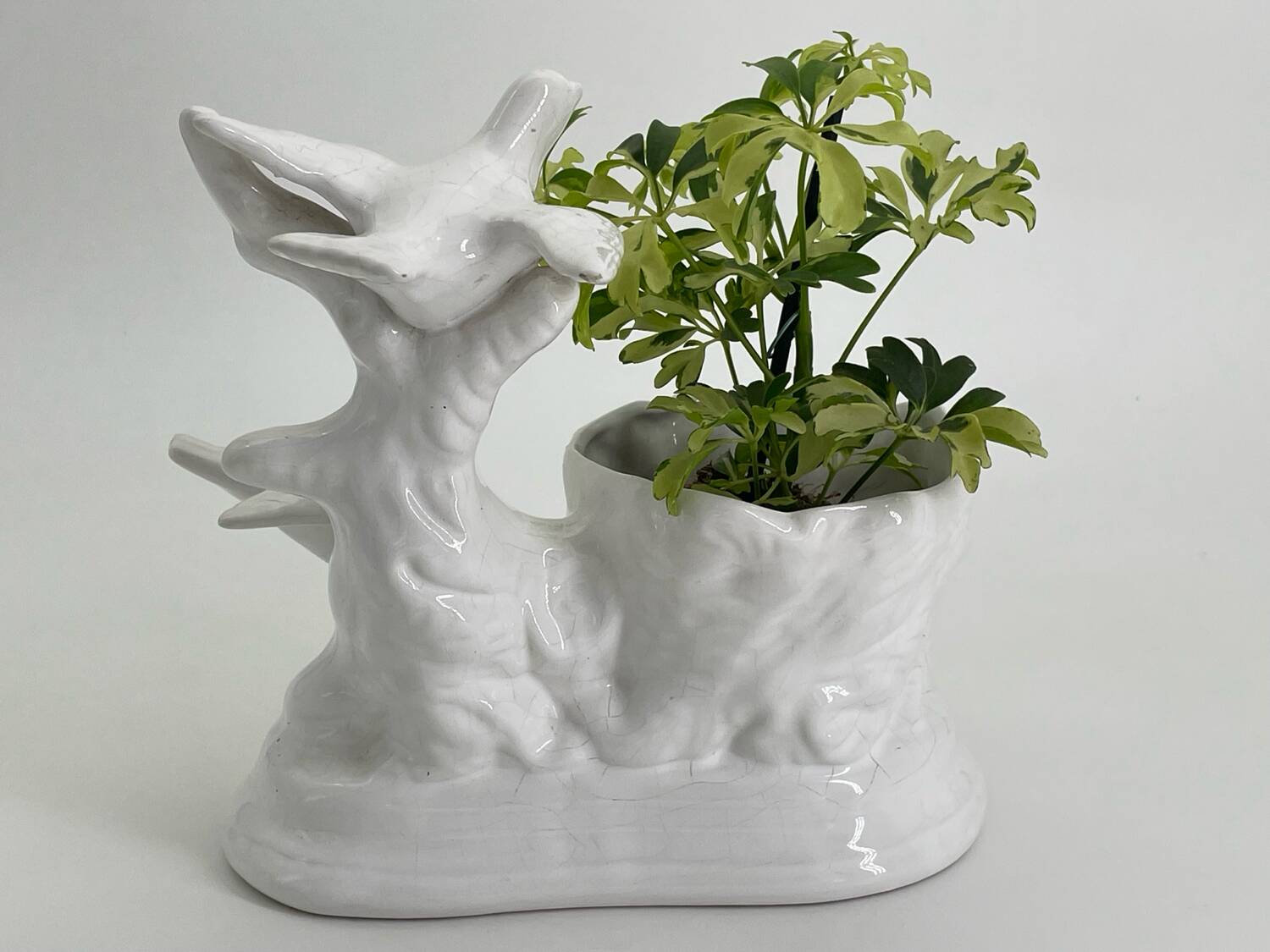 Vintage white porcelain dove planter