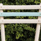 Lot de 3 chaises de jardin en bois latté
