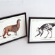 Lot de 2 chimère encadrées lithographie gravure animal