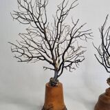 Pair of black fan corals on turned wooden base, Height 25 cm