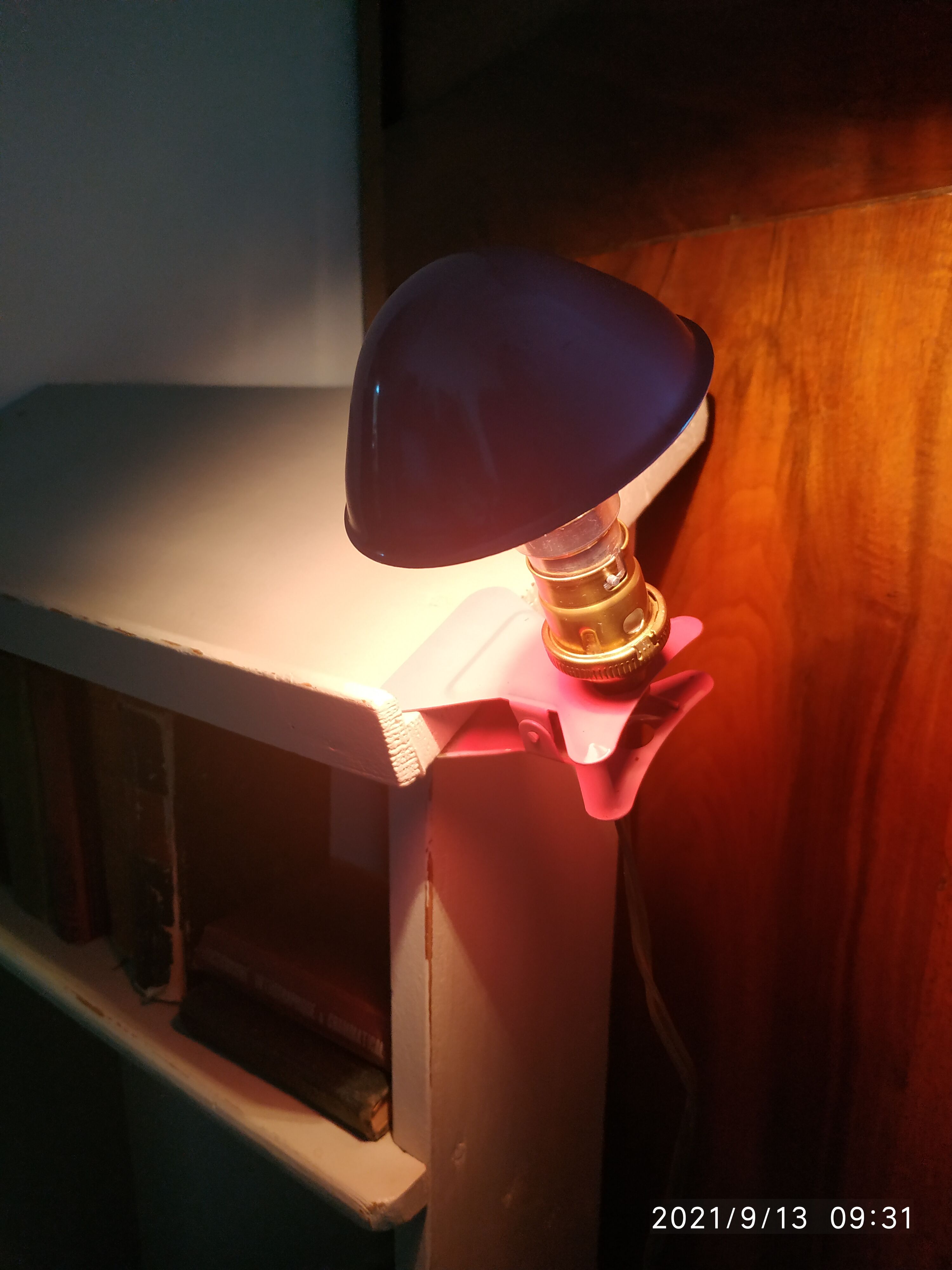 Clamp mushroom lamp