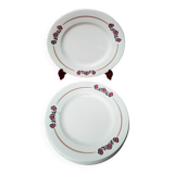6 flat plates salty iron earth