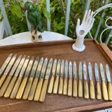 Set of 10 knives and 12 vintage horn knives