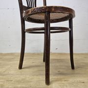 Antique Viennese chair Art Nouveau by Jakob and Josef Kohn (Thonet)