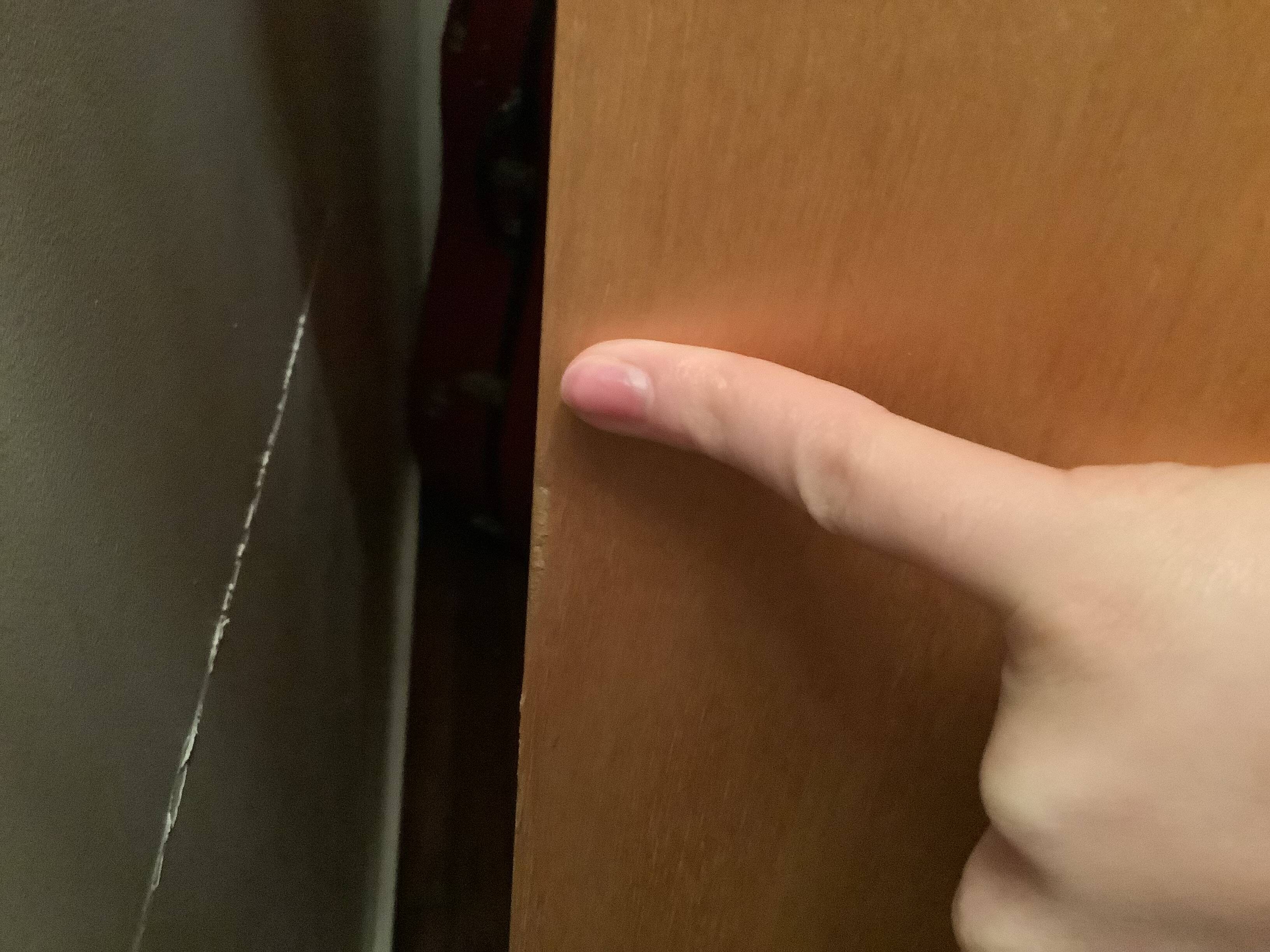 Secretary Cees Braakman BB54 Pastoe