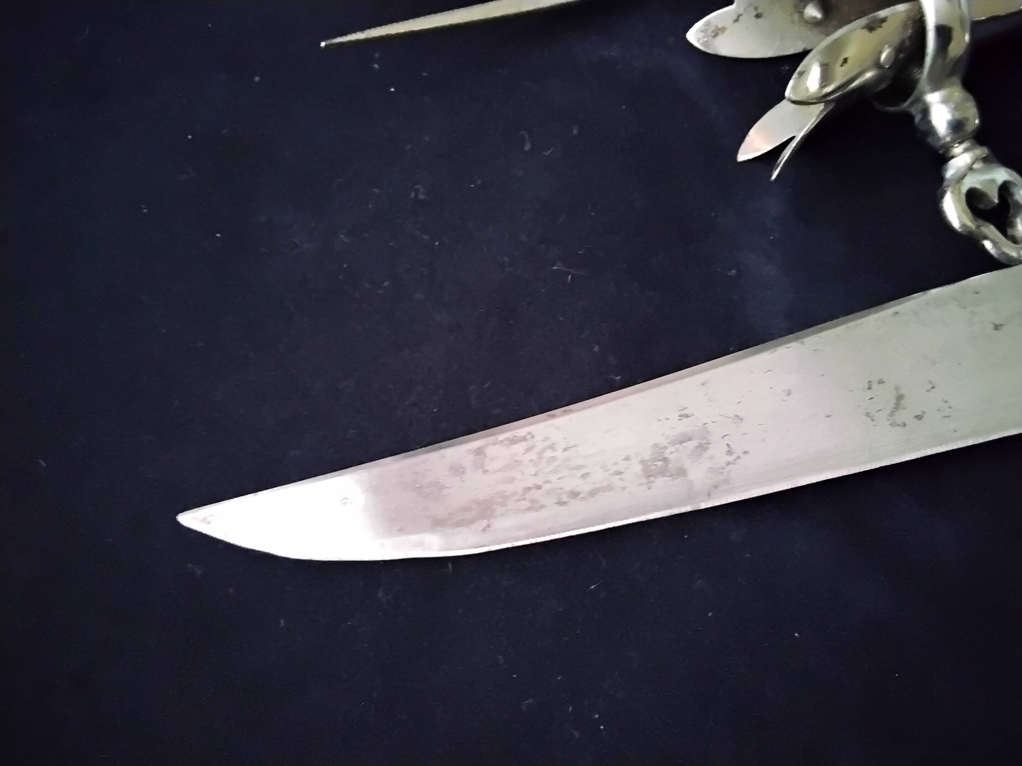 Old cutting service in steel and silver metal in its box