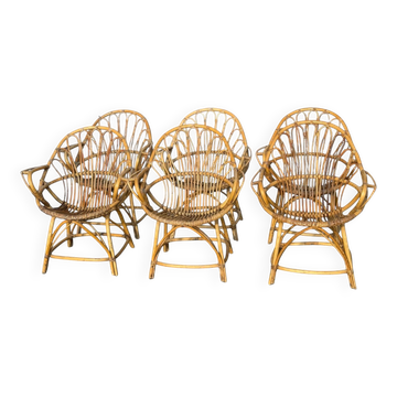 Set of 6 rattan armchairs from the 1960s, France.